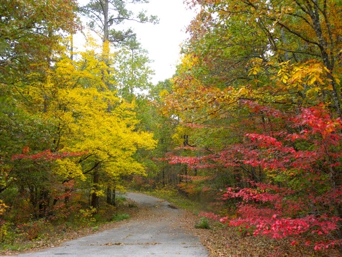 Outdoor Treasures of Hot Springs Village Only in Arkansas
