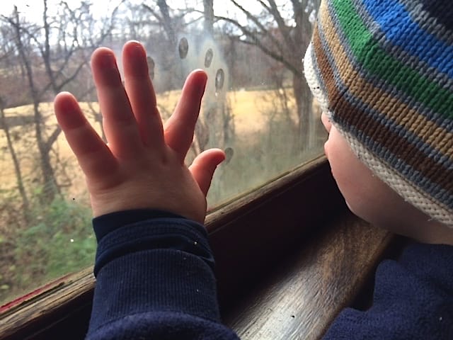 Drake at train window