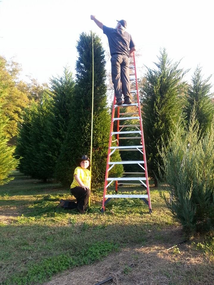 Papa Santa's Christmas Tree Farm