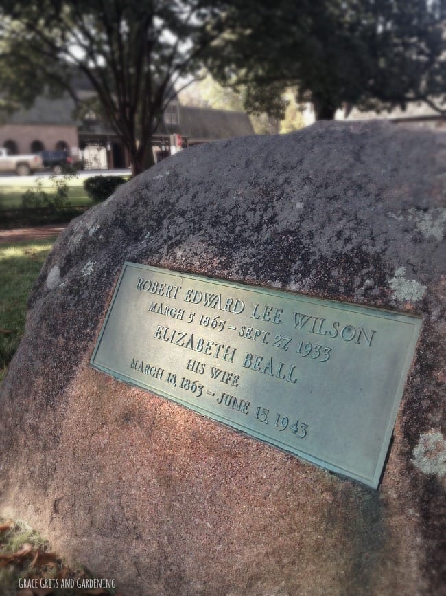 Robert E Lee Wilson Grave