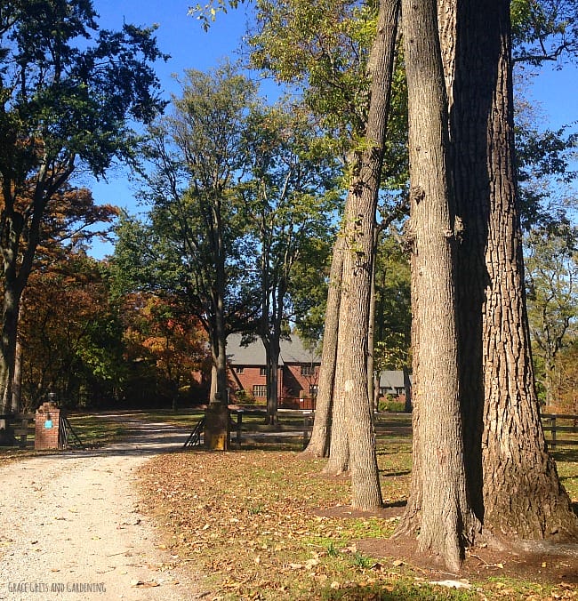 The Delta School, Wilson Ar