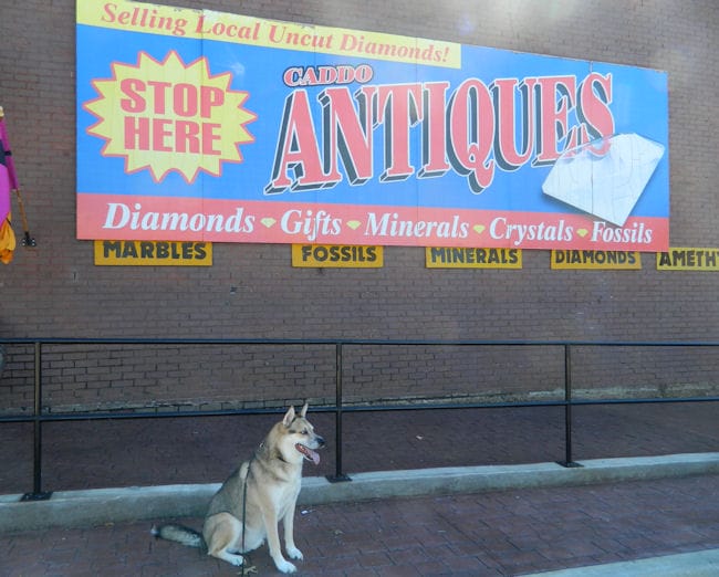 travel with dogs arkansas antiques