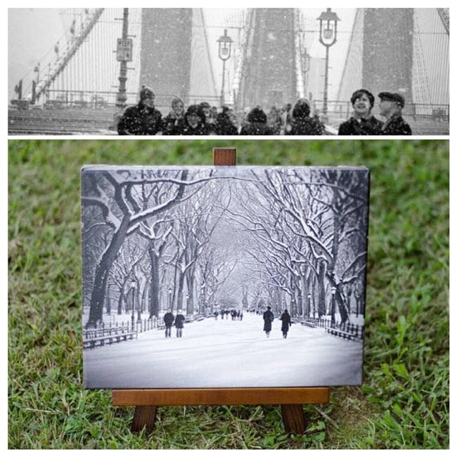 Sarah Shotts Collage