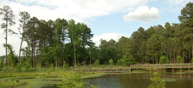 Hendrix Creek Preserve