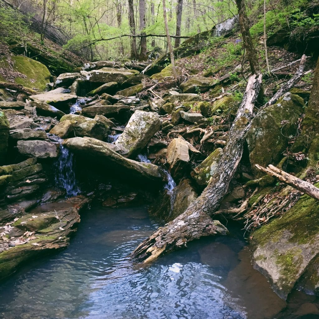 Ashel Pearson Instagram