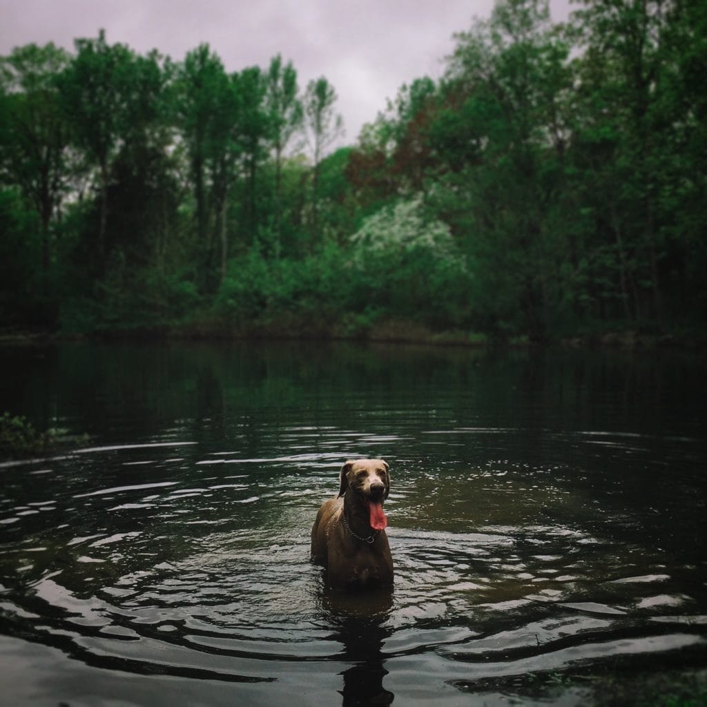 Ashel Pearson Instagram