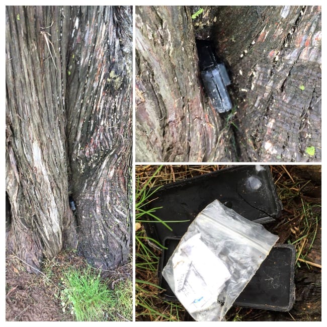 geocaching container and log