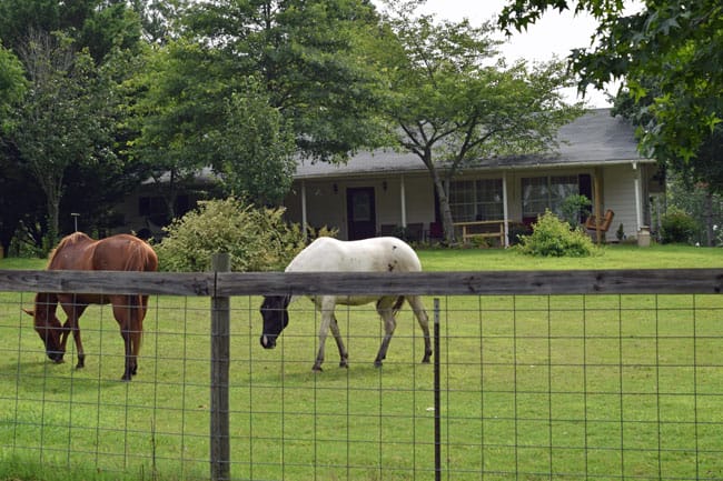 Cottage-at-Barnyard-Friends