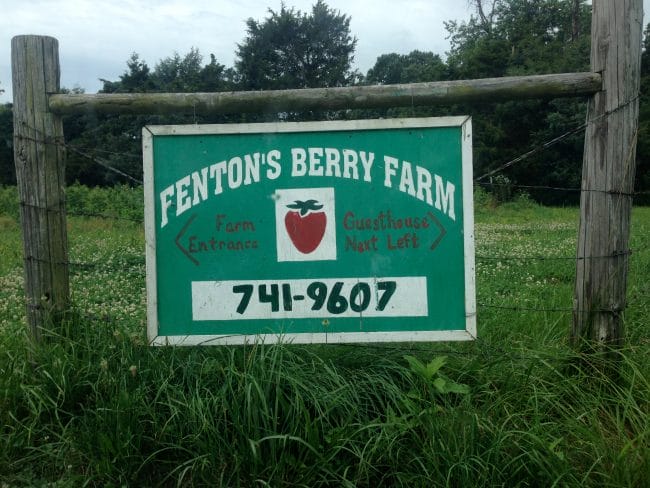 Fenton's Berry Farm U-Pick