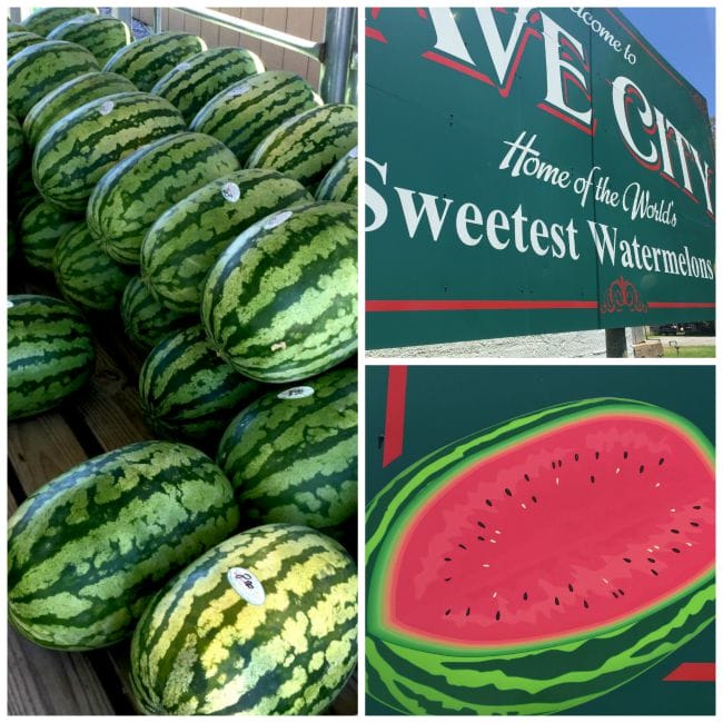 watermelon collage