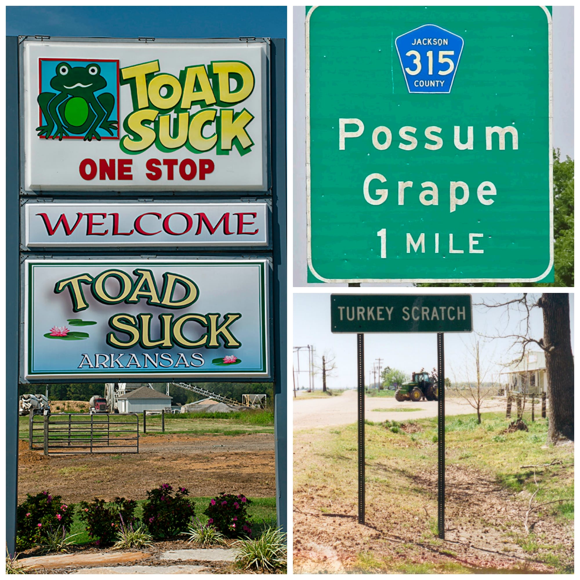 Arkansas Animal Name signs