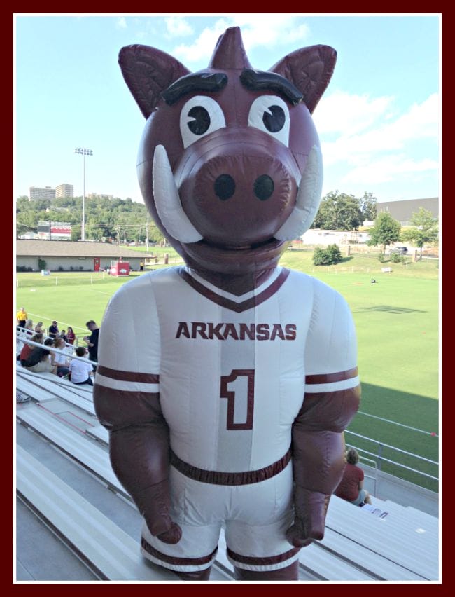 Boss Hog Arkansas Mascot