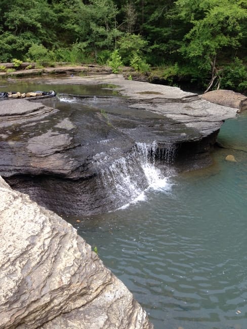 Hall Creek (488x650)