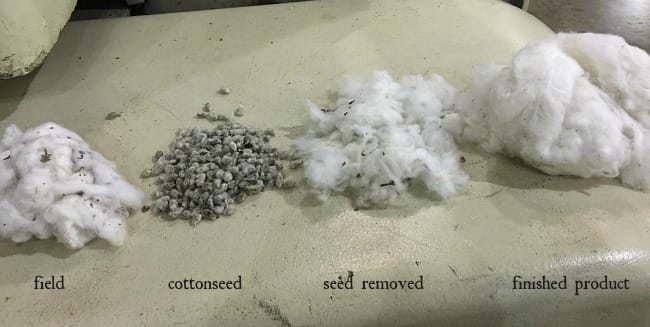 Cotton thru the ginning process