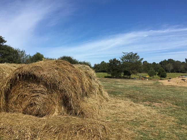 Pumpkin Hollow, Family Fall Adventure!