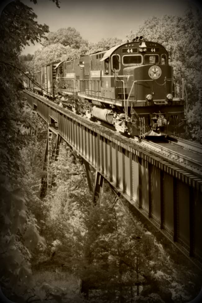 Black and White Train over Bridge