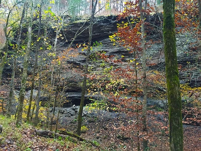 Sandstone Bluff with Colorful Trees on the Ozark Highlands Trail