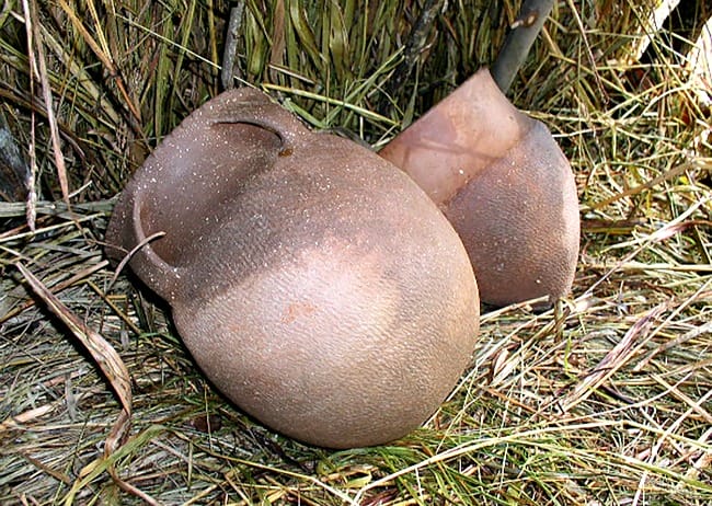 native-american-pottery