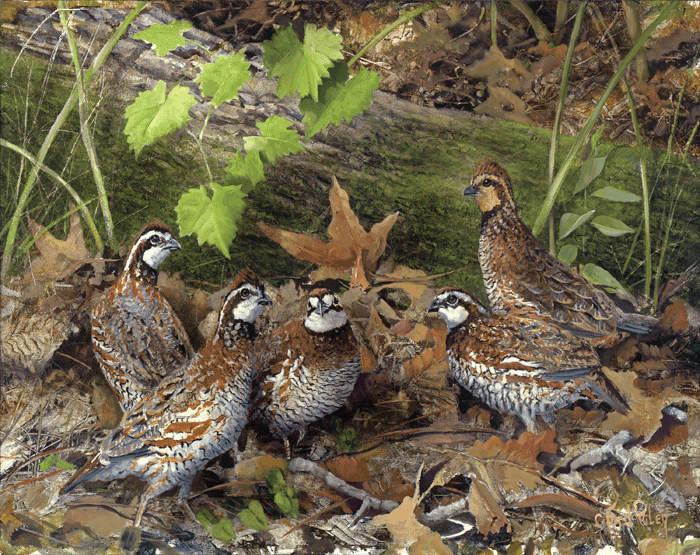 Mid-Day-Gathering-8x10-cmyk-print