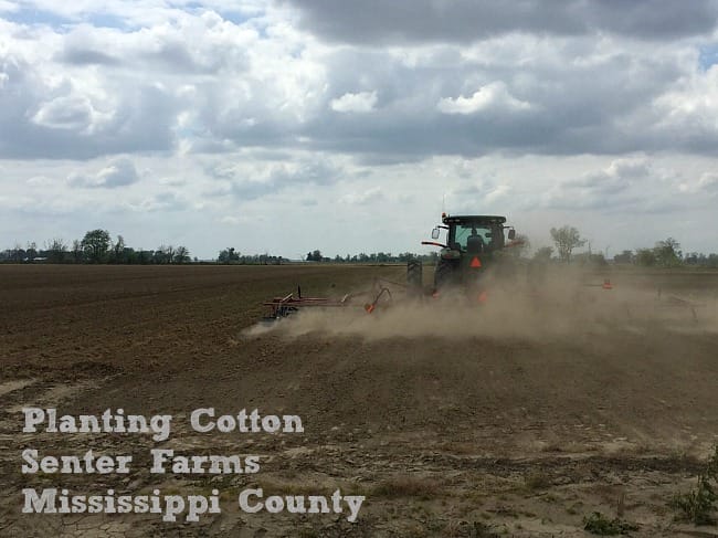 Spring Planting - Senter Farms
