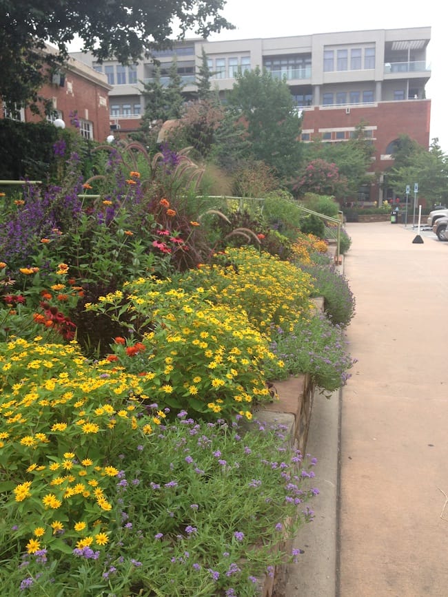 5 Fayetteville Roots Downtown Square Gardens