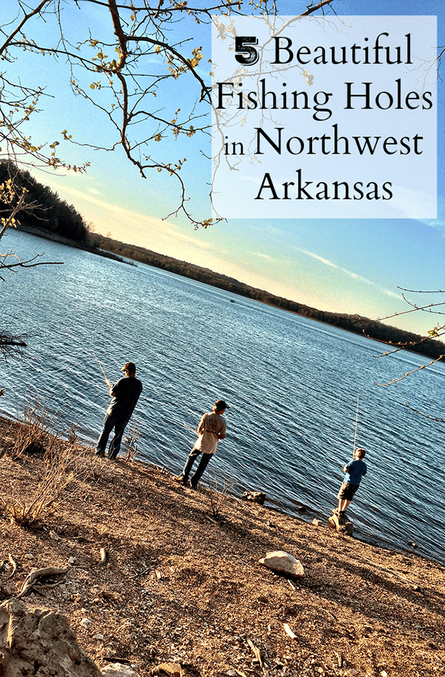 5-great-fishing-holes-in-northwest-arkansas-only-in-ark