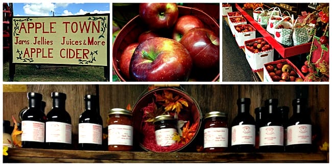 apple-town-collage