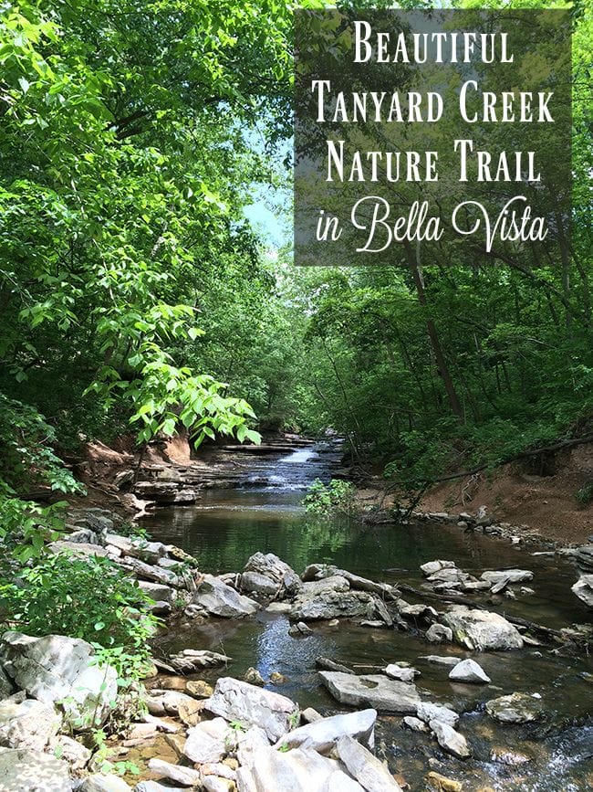 Beautiful Tanyard Creek Nature Trail in Bella Vista, Arkansas