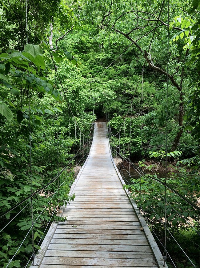 Suspension bridge at Tanyard Creek Nature Trail