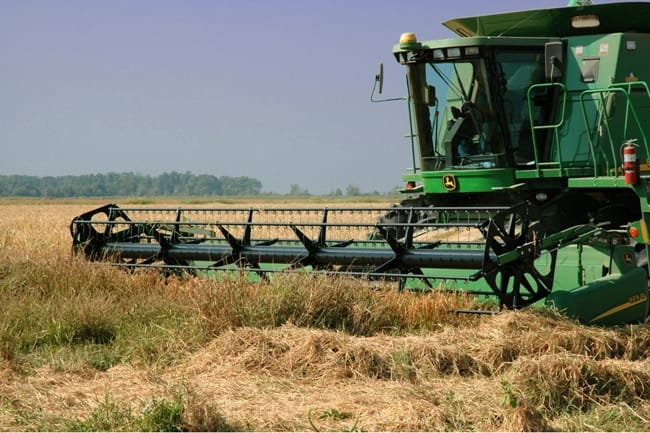 Photo Courtesy of Arkansas Parks and Tourism