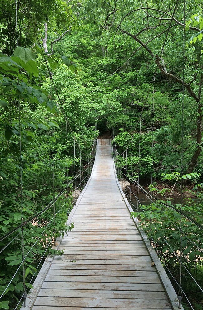 tanyard-creek-nature-trail