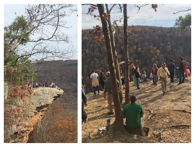 hawksbill-crag-whitaker-point-fall-hike-crowds