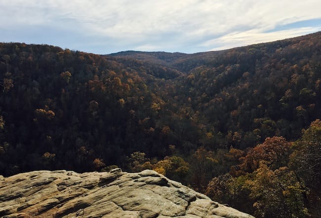 hawksbill-crag-whitaker-point-scenic-view