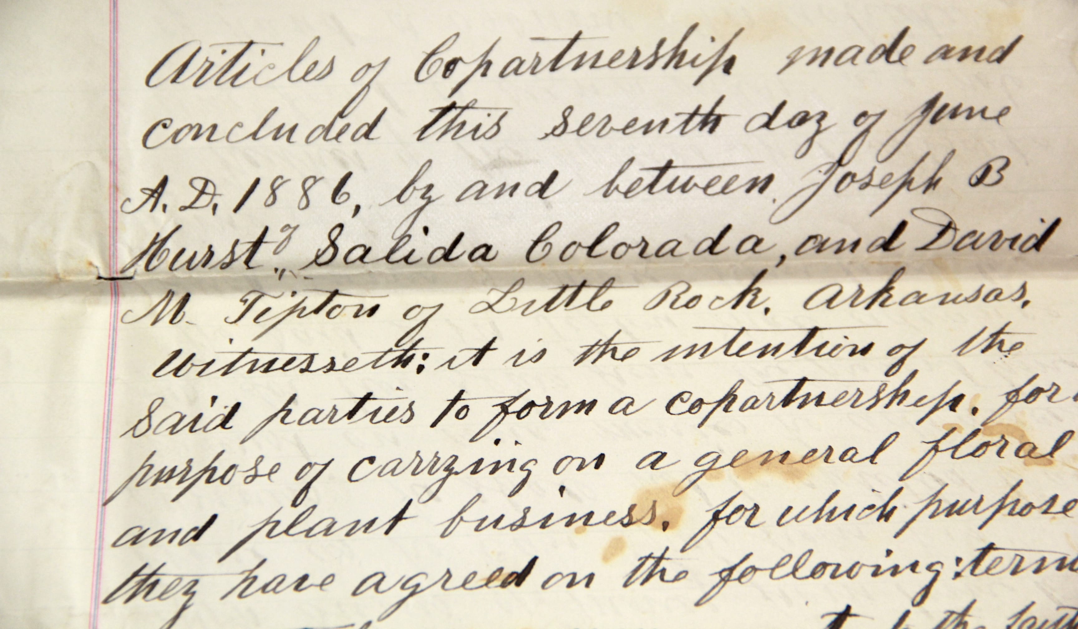 Tipton & Hurst A Flourishing Heritage Only In Arkansas