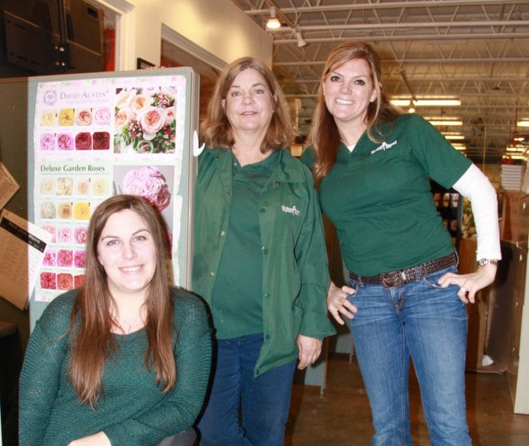 Tipton & Hurst A Flourishing Heritage Only In Arkansas