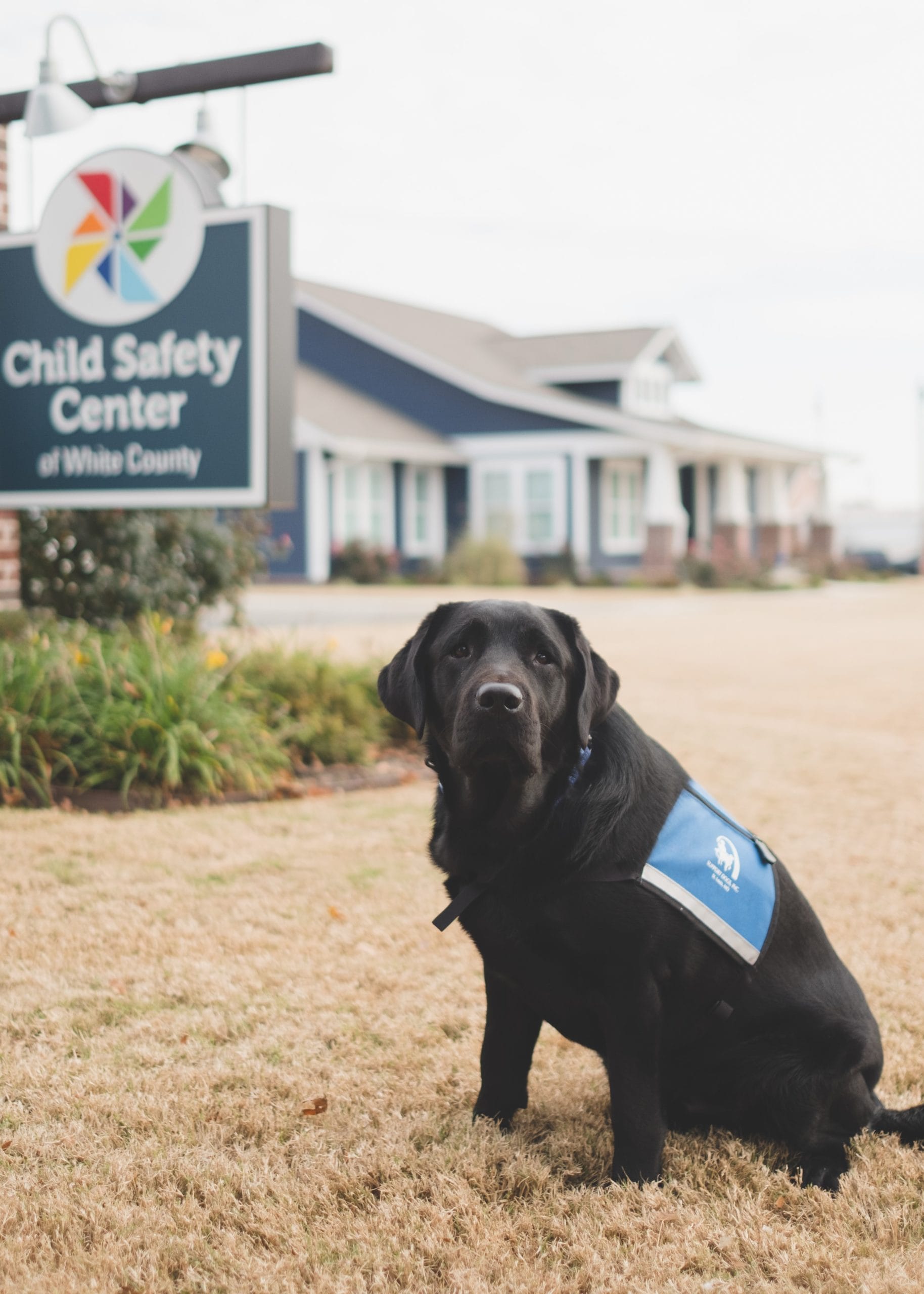 Child’s Best Friend Jake the Child Safety Center Dog Only In Arkansas