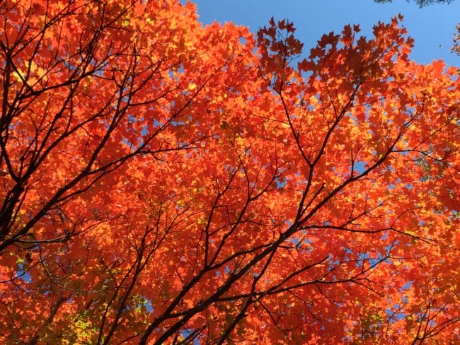 Photo of the Week: Rogers Cemetery - Only In Arkansas