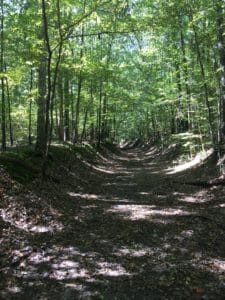 Footsteps of History on the Old Military Road - Only In Arkansas