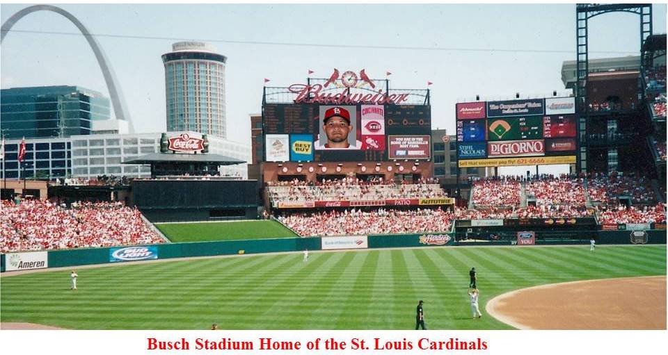 St. Louis Cardinals Busch Stadium Bat Mug