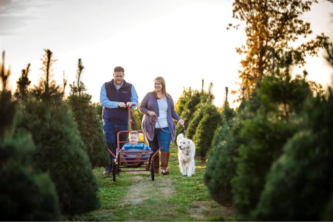 Arkansas Christmas Tree Farms 2020