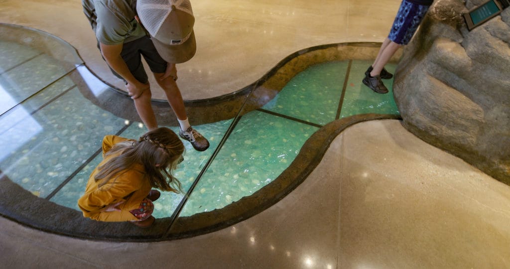 Ozark Highlands Nature Center