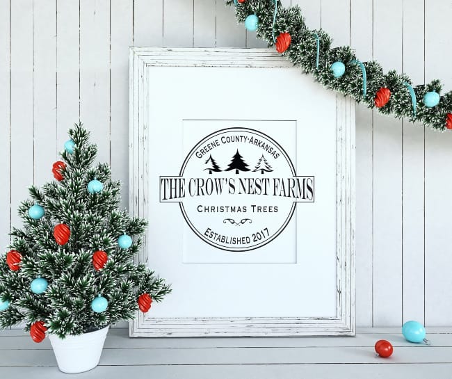 A Tale of Two Arkansas Christmas Tree Growers Only In Arkansas