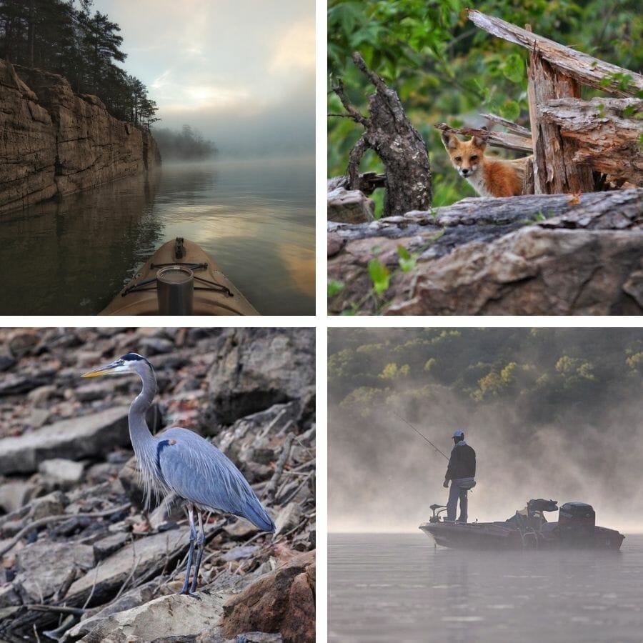 Instagrammer @rdvadventures