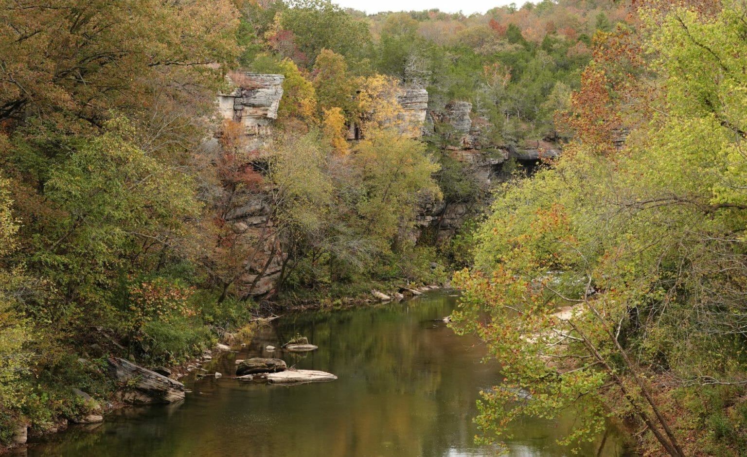 Photo of the Week | Fall Color at Piney Creek - Only In Arkansas