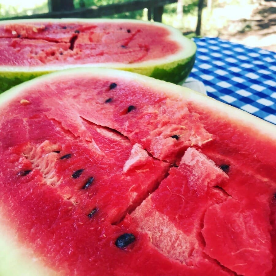 # 230 Kid w/ Watermelon 