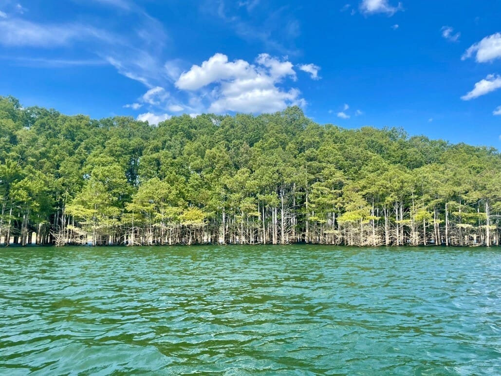 Norfork Lake