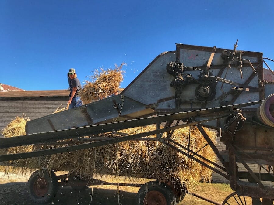 45th Annual Arkansas Rice Festival in Weiner Only In Arkansas