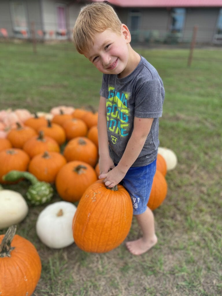 Arkansas Sheriff's Youth Ranch Pumpkin Patch
