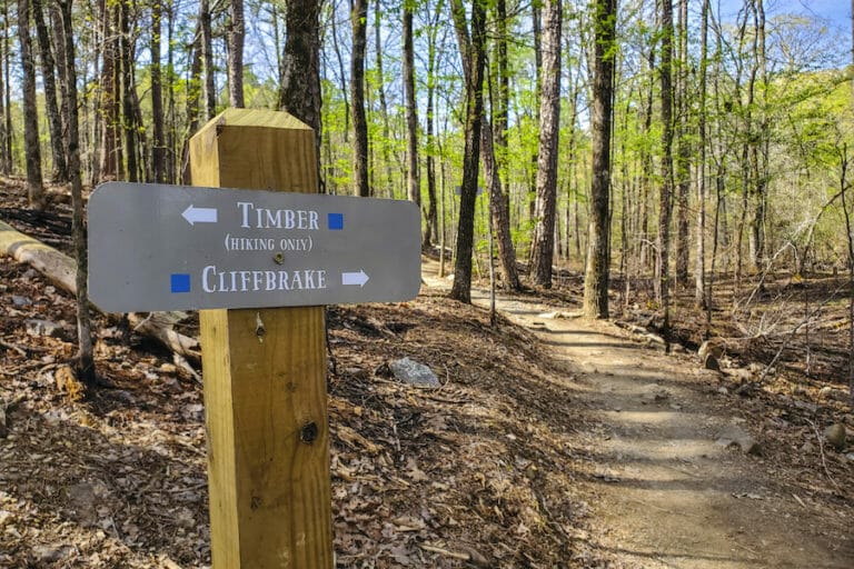 Hiking, Biking and Climbing Rattlesnake Ridge Only In Arkansas