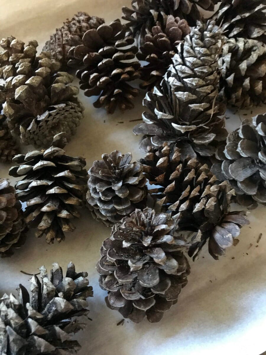 Forage Christmas Decor from the Arkansas Woods